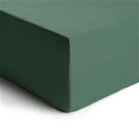Habitat Cotton Rich 180 TC Leaf Green Fitted Sheet - Double