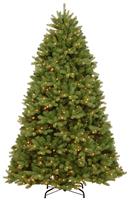 Premier Decorations 6ft Newberry Spruce Christmas Tree