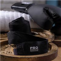 PRO POWER