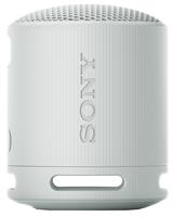 Sony SRS-XB100 Bluetooth Portable Speaker - Grey