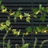 Garden by Sainsbury's 20 Ivy Solar String Lights