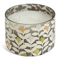 Habitat x Scion Padukka Multi Wick Candle - Tomato Leaf