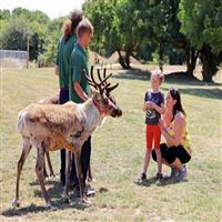 Red Letter Days Zoo Keeper For Two Gift Experience
