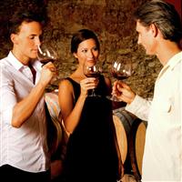 Activity Superstore Vineyard Tour & Tastings Gift Experience
