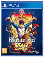 The Karate Kid: Street Rumble PS4 Game
