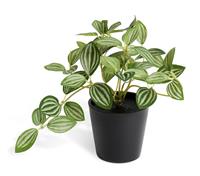 Habitat Artificial Green Small Trailing Plant - 17cm