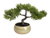 Argos Home Artificial Bonsai Tree in Ceramic Glaze Pot