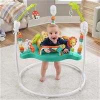 Fisher-Price Bouncers