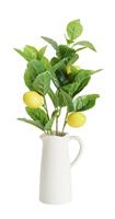 Argos Home Artificial Lemon Branch in White Ceramic Jug-21cm