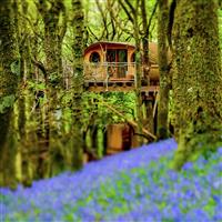 Activity Superstore Two Night Tree House Escape For Two