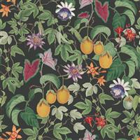 RHS Citrus N Vine Black Wallpaper