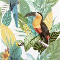 Arthouse Toucan Jungle Multicolour Wallpaper
