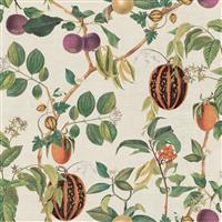 Esselle Home Parchment Green Wallpaper