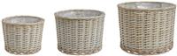 Argos Home Willow Planter - Set of 3