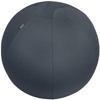 Leitz Ergo Cosy Active Sitting Ball