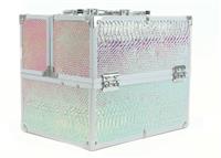 Maven Iridscent Vanity Case