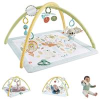 Fisher-Price Simply Senses Newborn Baby Gym