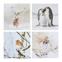 Comic Relief Pack of 24 Photographic Animals Christmas Cards