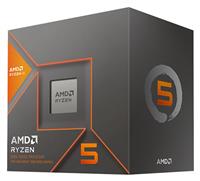 AMD Ryzen 5 8600G Processor