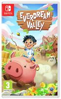 Everdream Valley Nintendo Switch Game