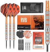 Target Raymond van Barneveld 22g Tungsten Darts Set