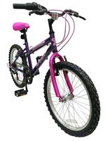 Spike 20 Inch Wheel Size Girls Mountain Bike