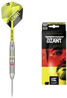 Target Gabriel Clemens 22g Brass Darts Set