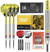Target Gabriel Clemens 22g Tungsten Darts Set