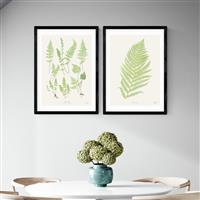 East End Prints Botan Vintage Black Frame Art Print - A2