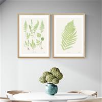 East End Prints Botan Vintage Oak Frame Art Print - A2