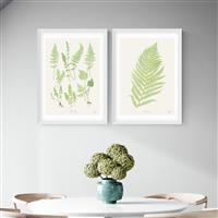 East End Prints Botan Vintage White Frame Art Print - A3