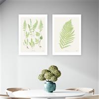 East End Prints Botan Vintage Art Print - A3