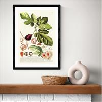 East End Prints Ficus Black Frame Art Print - A2