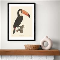 East End Prints Toucan Black Frame Art Print - A2