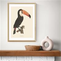 East End Prints Toucan Oak Frame Art Print - A2