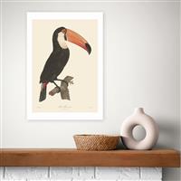 East End Prints Toucan Art Print - A2