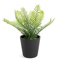Habitat Artificial Green Small Fern Plant - 18cm