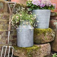 Ivyline 142cm Galvanised Milk Churn