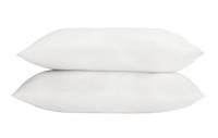 Argos Home Cushion Pad - 2 Pack - 33x53cm