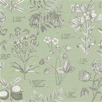 RHS Botanical Sketchbook Sage Wallpaper