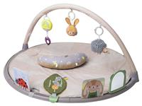 Taf Toys Tummy Time Activity Gym