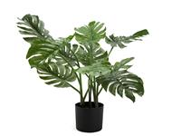 Habitat Artificial Green Monstera Plant - 61cm