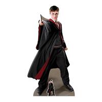 Star Cutouts Harry Potter Quidditch Cardboard Cutout