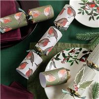 Argos Home Pack of 6 Luxury Robin Christmas Cracker
