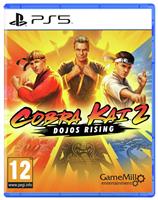 Cobra Kai 2: Dojos Rising PS5 Game