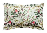 Argos Home Robin Velvet Cushion - Sage Green - 50x30cm