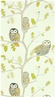 Harlequin Kids Little Owls Powder Cream Wallpaper