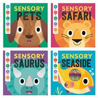 Igloo Books Sensory Play Collection Book