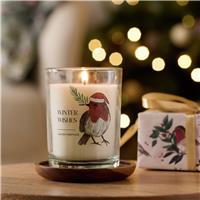 Argos Home Robin Medium Candle - Christmas Spice.