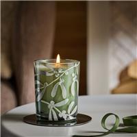 Habitat Medium Boxed Candle - Pine & Birchwood